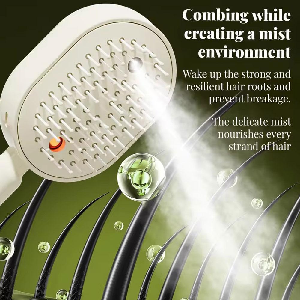 Electric Spray Air Bag Massage - đánh giá và giá Hair Care Essence Oil Spray
