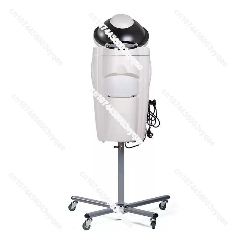 Oil Treatment Ozone Micro Mist - đánh giá và giá Hair Care Salon
